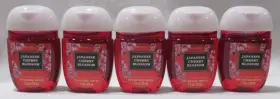 667559269069 BATH BODY WORKS Pocketbac Gel Set Cherry Blossom