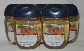667559285359 BATH BODY WORKS Pocketbac Gel Set Sweet Blossom