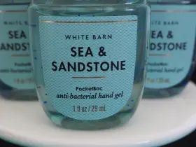 667559286950 BATH BODY WORKS Sea Sandstone Pocket Bac Gel Set #2