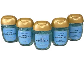 667559286967 BATH BODY WORKS Crisp Morning Air Pocket Bac Gel