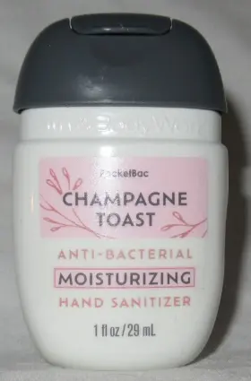 667559304043 BATH BODY WORKS Pocketbac Moisturizing Gel Set #2