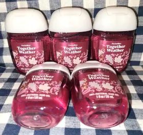 667659309481 BATH BODY WORKS Weather Pocketbac Sanitizers
