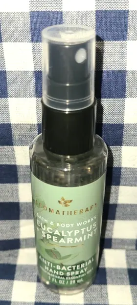 667659309641 BATH BODY WORKS Eucalyptus Spearmint Anti Spray