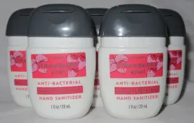 667659341276 BATH BODY WORKS Pocketbac Moisturizing Gel Set