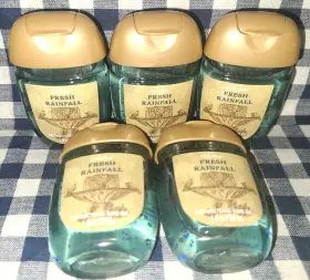 667659350179 BATH BODY WORKS Rainfall Pocketbac Sanitizers