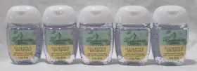 667659367863 BATH BODY WORKS Pocketbac Gel Set Aromatherapy
