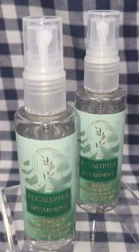 667659372201 BATH BODY WORKS Eucalyptus Spearmint Anti Spray