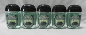 667659391585 BATH BODY WORKS Pocketbac Gel Set Halloween