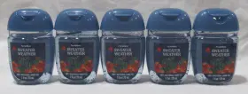 667659393336 BATH BODY WORKS Pocketbac Gel Set Sweater Sage