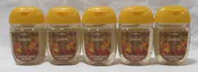 667659393343 BATH BODY WORKS Pocketbac Gel Set Apple Clove