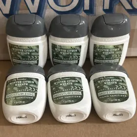 667659419210 BATH BODY WORKS Winter Citrus Wreath Anti San