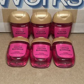 667659437870 BATH BODY WORKS Pocketbacs Antibacterial Gel