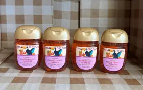 667659450343 BATH BODY WORKS Mango Papaya Paradise Pocketbac