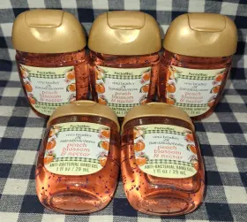 667659452040 BATH BODY WORKS Pack Vera Bradley Peach Blossom