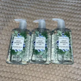 695534067073 BATH BODY WORKS Bsth Sanitizer Crisp Morning Air