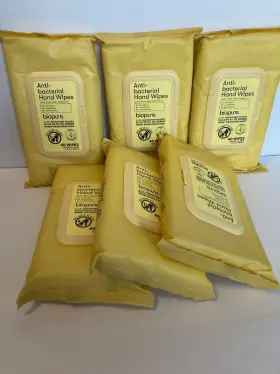 049696562416 BIOPURE Pack Anti Bacterial Wipes Honey Wild