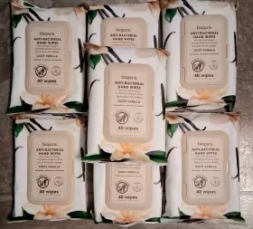 BIOPUREVAN3 BIOPURE Vanilla Antibacterial Wipes Aloe Vera