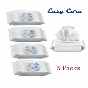 860004139805 BK Care Alcohol Wipes
