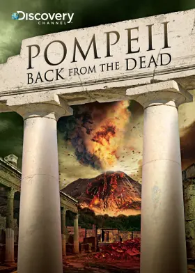 18713585493 DISCOVERY CHANNEL Pompeii