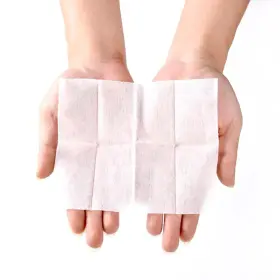 971904312053 EASY Isopropanol Wipes Rasy #3