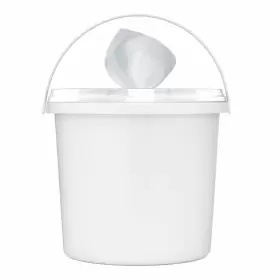 10-BKT-2 EVERWIPE Wetwipe Mobile Carton #2