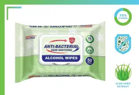 600421629417 GERMISEPT Sanitizing Anti Bacterial Wipes Pack #2