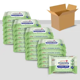 600421629417 GERMISEPT Sanitizing Anti Bacterial Wipes Pack
