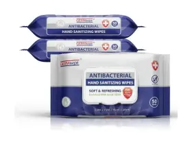 812898014546 GERMISEPT Wipes