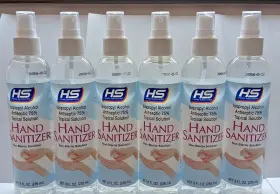 29.001 SPRAY Disinfect Sanitizer Alcohol Antiseptic Isopropyl