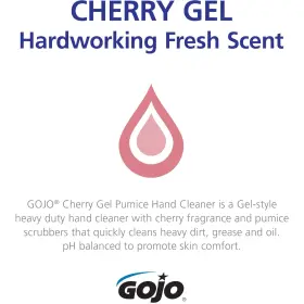 235802CT GEL Cherry Pumice Cleaner Pump Bottle Gallon Pack #3