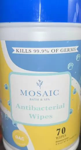 843473106066 MOSAIC Containers Bath Spa Antibacterial Wipes