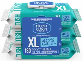 C44-B0F1HD4K14 NICE CLEAN Ftn Flushable Wipes