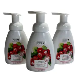 11742 PERSONAL CARE Sparkling Cranberry Foaming Sanitizer