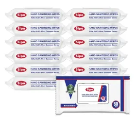 Sipa Fv-9rd1-mtd1 Hand Sanitizing Wipes 50 Bag Clean-to-go Travel Size Fresh Scent So