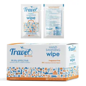 195893668601 TRAVEL WIPES Sanitizing Packed