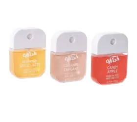 191554604223 WISH Sanitizer Fall Set