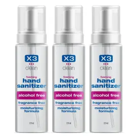 10012 X3 CLEAN Foaming Sanitizer Alcohol Fragrance Kills