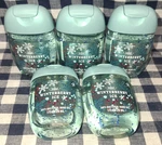 5-pack All New Winterberry Ice Pocketbac Sanitizers 1 Oz Bath & Body Works. Fixed Price $26.00.