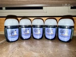 5 Bath Body Works Frosted Coconut Snowball Pocketbac Anti-bac Hand Gel Sanitizer. Fixed Price $16.99.
