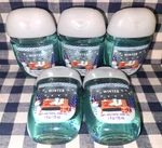 All New 5-pack Winter Pocketbac Sanitizers 1 Oz Bath & Body Works Free Ship!. Fixed Price $22.00.