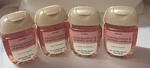 4 X Raspberries & Whipped Vanilla Pocketbac Hand Sanitizer 1.0 Bath Body Works. Fixed Price $13.99.