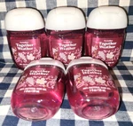 All New 5-pack Together Weather Pocketbac Sanitizers 1 Oz Bath & Body Works. Fixed Price $19.80.