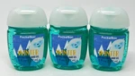 3 Rare Bath & Body Works Winter Pocketbac Anti Bacterial Hand Gel Sanitizer. Fixed Price $14.99.