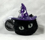 2022 Halloween Glows In The Dark Magical Witch Hat Cat Bac Pocket Holder Keyclip. Fixed Price $19.00.