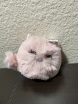 Bath & Body Works Pink Fuzzy Cat Sanitizer Holder. New With Tag. Fixed Price $4.99.