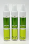 3 Bath & Body Works Eucalyptus Spearmint Antibacterial Hand Spray Sanitizer Mist. Fixed Price $29.99.