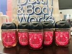 Bath & Body Works Crushed Candy Cane Essential Oil Hand Sanitizer S/5 #915l. Fixed Price $19.99.