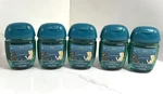 5 Bath & Body Works Disney Princess Jasmine Hand Sanitizer Pocketbac Gel 1 Oz Ea. Fixed Price $29.95.