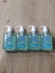 Smart Care Hand Sanitizer Aloe Vera Vitamin E (4 Pack) Kills 99.9% Of Germs. Fixed Price $7.00.