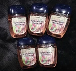 5-pack New Watermelon Lemonade Pocketbac Sanitizers 1 Oz Bath & Body Works. Fixed Price $20.95.